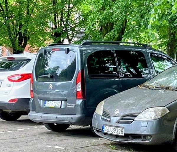 GRAT z placu Krofeya. Nissan będzie USUNIĘTY?-19857
