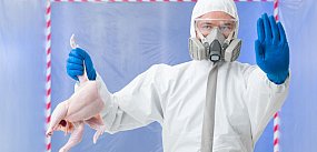 ZAGROŻENIE – ASF i ND. Zebrał się sztab