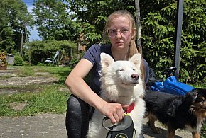 PSI BOKSER Z PIETRZYKOWA. Ujawniamy szokujące nagrania-19946