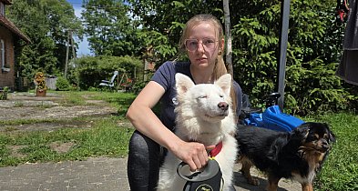 PSI BOKSER Z PIETRZYKOWA. Ujawniamy szokujące nagrania-19946