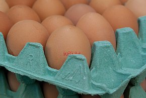 Salmonella na jajach znanej marki. Nie jedz, jeśli masz je w lodówce!-19987