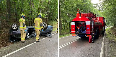 Lusterkowa kolizja, nietrzeźwi i dzika zwierzyna-20206
