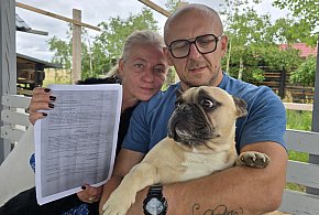 Zabrali im psy. Cztery NIE PRZEŻYŁY pobytu w schronisku (WIDEO)-20766