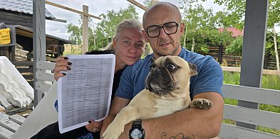 Zabrali im psy. Cztery NIE PRZEŻYŁY pobytu w schronisku-20766