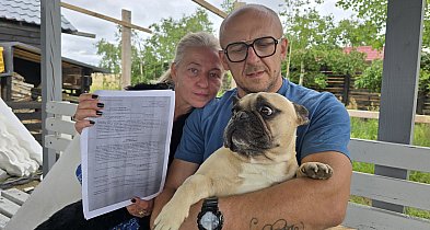 Zabrali im psy. Cztery NIE PRZEŻYŁY pobytu w schronisku (WIDEO)-20766