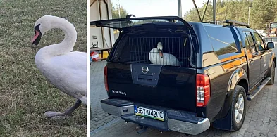 NA RATUNEK łabędziowi z koszykiem wędkarskim-20767