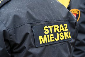 Zapuka strażnik, zapłacisz karę. Ruszyły kontrole w całej Polsce-21497