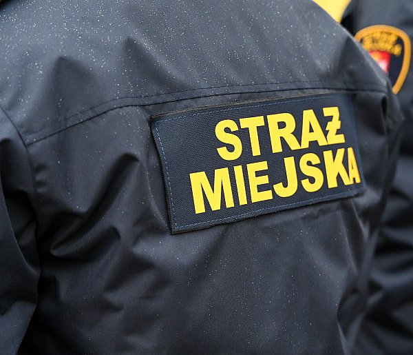 Zapuka strażnik, zapłacisz karę. Ruszyły kontrole w całej Polsce-21497