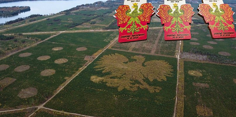 Siódmy Bieg Orła z końskim akcentem - 21518