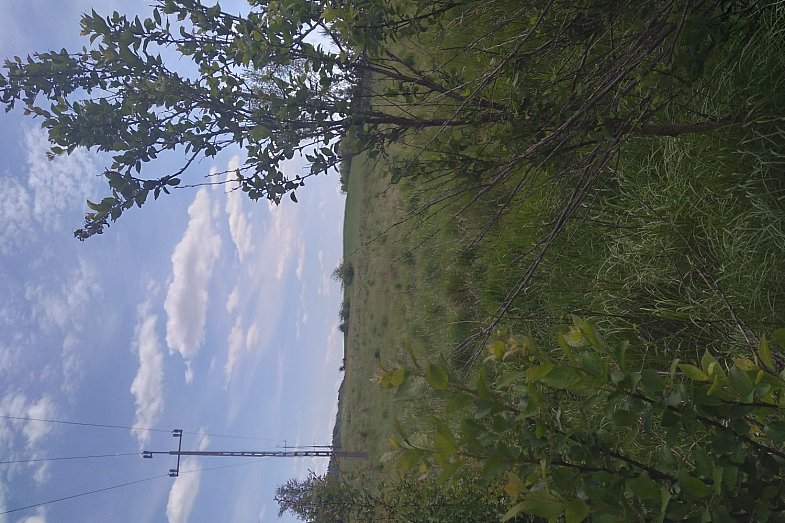 zdjecie ogloszenia