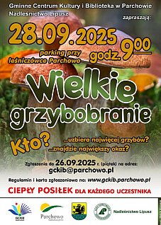 WIELKIE GRZYBOBRANIE W GMINIE PARCHOWO