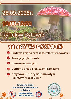 Wystawa grzybów na bytowskim rynku