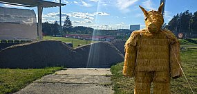 MIŚ bytowski. Stadionowe ABSURDY. ZAKAZ picia