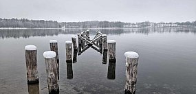 JELEŃ BEZ POMOSTU. Na pewno nie w 2026 roku