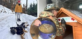 Bytowskie SERCA kontra "biznes na psach"