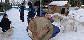 Lodowe PIEKŁO na metrowym łańcuchu. Interwencja