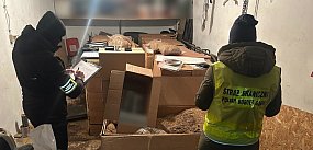 Tona nielegalnej krajanki i tysiące papierosów!