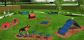 WALKA o „Bytowski Psi Zakątek” rozpoczęta