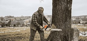 Niebezpieczna wycinka w Nakli. Akcja służb