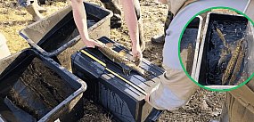 Kłusownicy złapani nad jeziorem Glinowskim