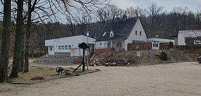 Drzewa jak bomby z opóźnionym zapłonem?