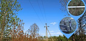 „Nie strażaków poraził prąd”. OSP prostuje