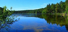 Mieszkaniec Soszycy zarzuca instytucjom manipulację