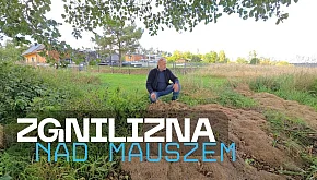 ZIELONA ZGNILIZNA nad jeziorem Mausz