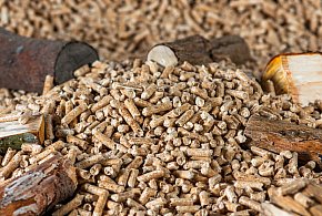 Drożeje popularny opał. Miliony Polaków dostaną po kieszeni tej zimy-21744