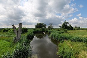 Co dalej z nowym parkiem narodowym? Minister klimatu zdradza plan po wecie-21915