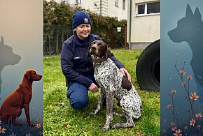 WADO - nowy pies w bytowskiej komendzie-22409