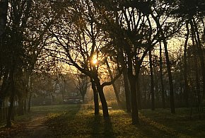 Nadchodzi najkrótszy dzień w 2025 roku. Sprawdź, kiedy przypadnie-22478