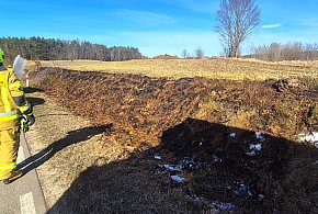 Wiosenne słońce budzi przyrodę i… bezmyślność. Zaczęły się POŻARY TRAW