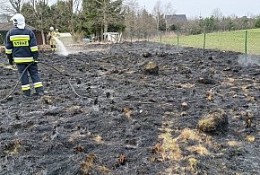 Seria pożarów traw w powiecie bytowskim. Strażacy APELUJĄ!