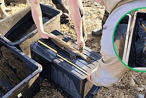 Rybacy złapani nad jeziorem Glinowskim. W sieciach było 9 szczupaków