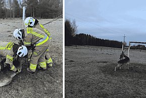 Alkohol, wypadki i policyjne interwencje. Niespokojny weekend