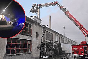Pożar w tartaku w Kołczygłowach. Ogień objął halę, straty to nawet 200 tys. zł