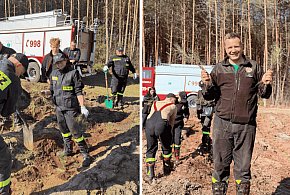 Zielona misja strażaków. Ochotnicy wspólnie sadzili las w Nadleśnictwie Łupawa