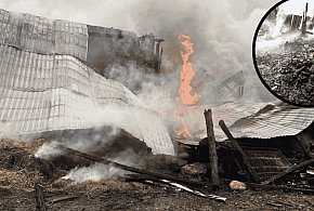 POŻAR stodoły w Bochowie. Ogień objął cały budynek, w środku zwierzęta