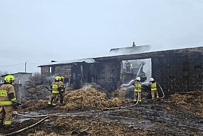Bochowo walczyło z ogniem przez całą noc. Uratowano 17 sztuk bydła