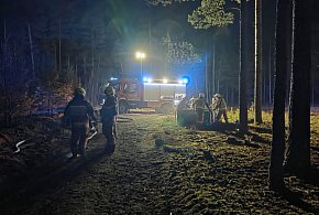 POŻAR LASU pod Sylcznem. W akcji samoloty i dziesiątki strażaków [RAPORT]