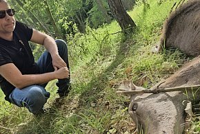 Dziecko łani płakało za matką. W Soszycy narasta spór o rezerwat i… WILKI