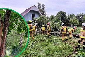 Piorun ROZŁUPAŁ ogromne drzewo. AKCJA STRAŻAKÓW w Rokitach