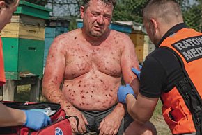 Pszczoły zaatakowały 38-latka. Na karetkę czekał kilkadziesiąt minut