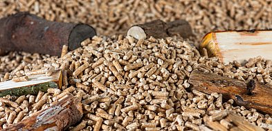 Drożeje popularny opał. Miliony Polaków dostaną po kieszeni tej zimy-21744