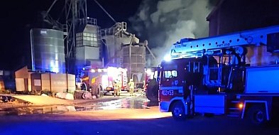 Pożar gospodarstwa w Chlebowie. Z żywiołem walczyło sześć zastępów straży!-22074