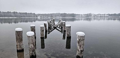 JELEŃ BEZ POMOSTU. Na pewno nie w 2026 roku-22374