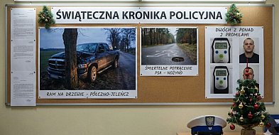 Świąteczna KRONIKA POLICYJNA. Rozbity DODGE RAM i ŚMIERTELNE POTRĄCENIE PSA-22528