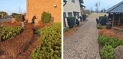 Zapceń znowu NA PLUS. Wiosenna akcja, która robi różnicę