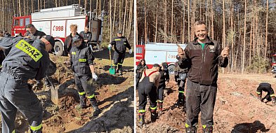 Zielona misja strażaków. Ochotnicy wspólnie sadzili las w Nadleśnictwie Łupawa